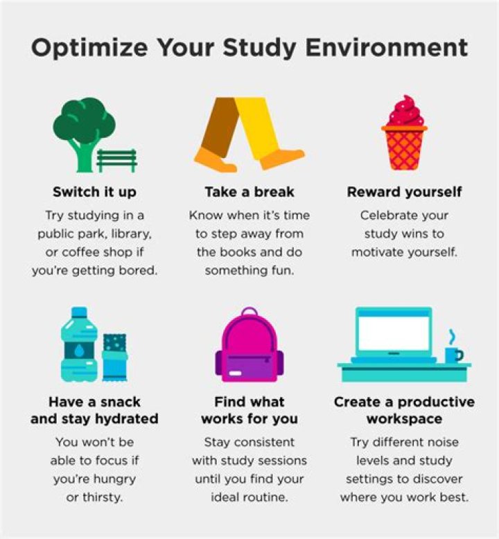 What can I study with life sciences?