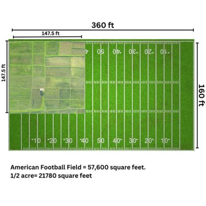 What can you do with 3 acres to make money?