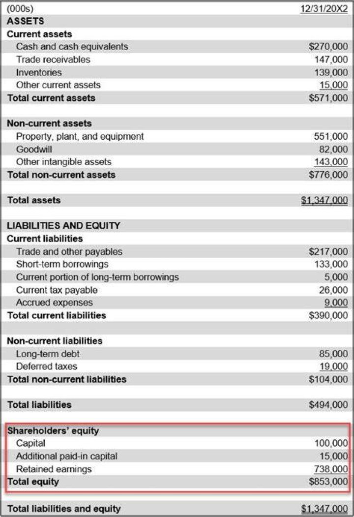 What causes an increase in shareholders equity?