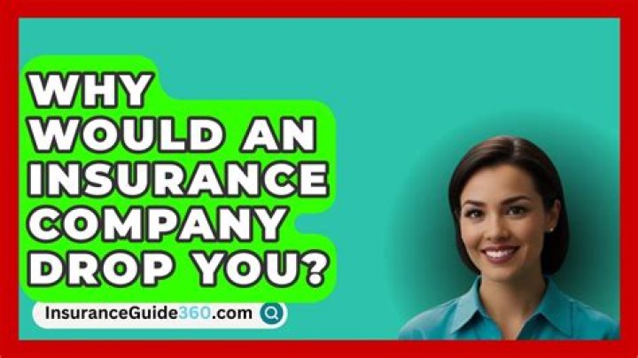 What causes an insurance company to drop you?