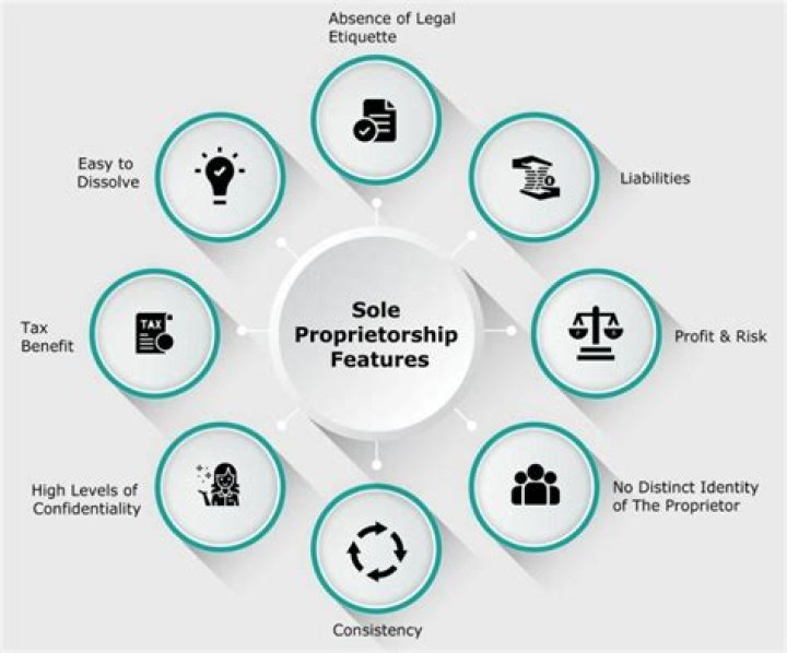 What challenges does the owner of a sole proprietorship face?