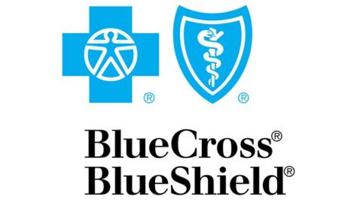 What companies does Blue Cross Blue Shield own?