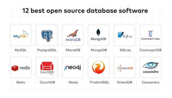 What companies use databases?