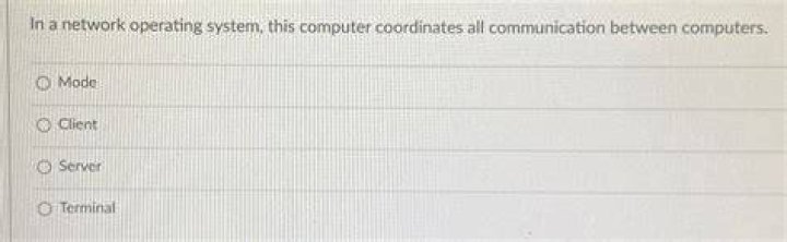 What coordinates all communication between computers?