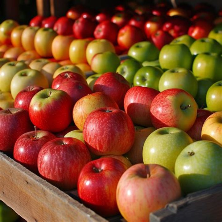 What country produces most apples?