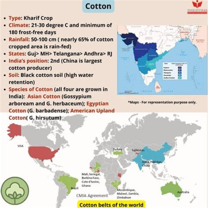 What did a growing demand for cotton cloth lead to?