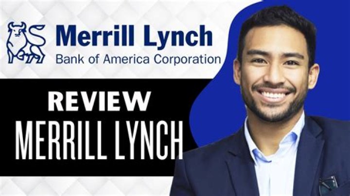 What did Merrill Lynch do wrong?