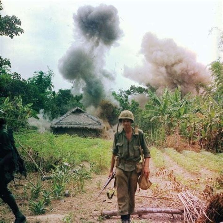 What did soldiers do in Vietnam?