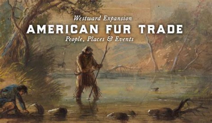 What did the fur trade contribute to?