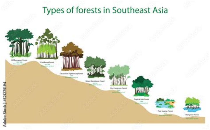 What do all forests have?