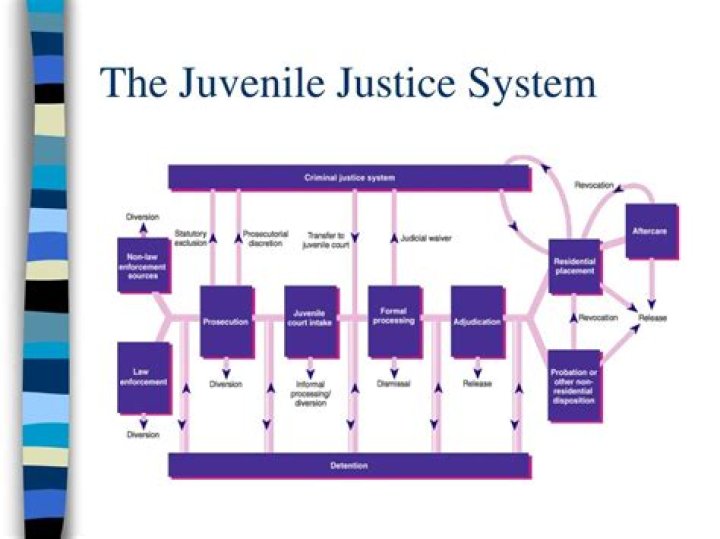 What do juvenile justice workers do?