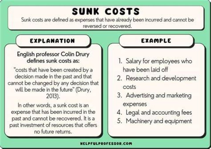 What do the sunk costs include?