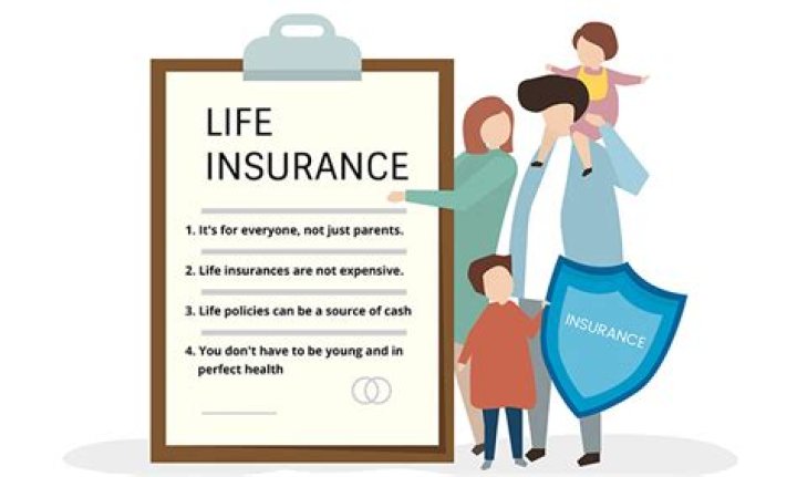 What do u know about insurance?
