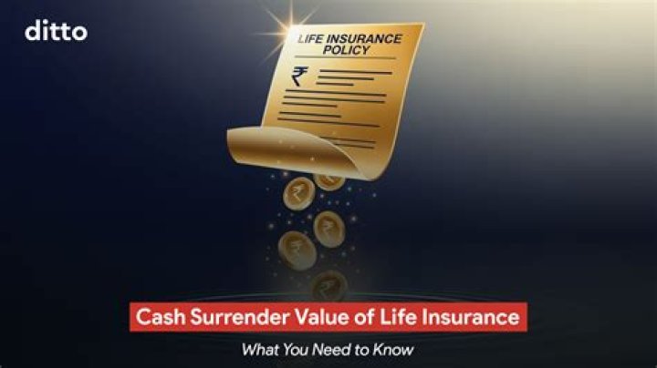 What do we do insurance?