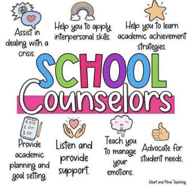 What do you learn as a school counselor?