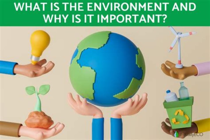 What do you like about your environment and why?