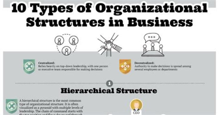 What do you mean by business organizations?