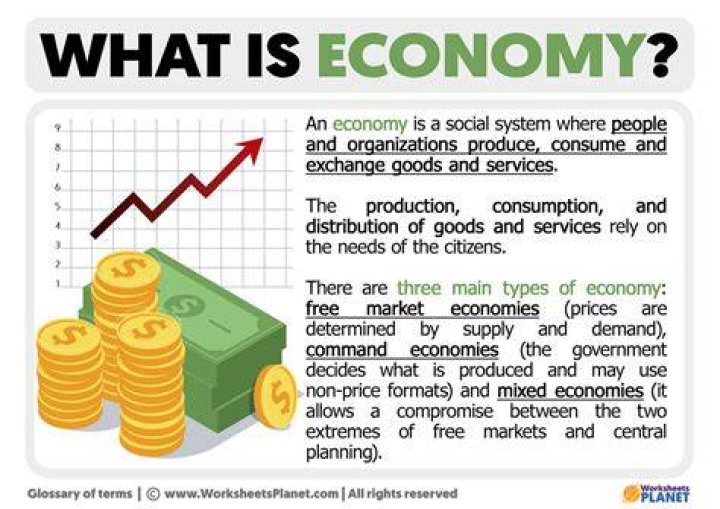 What do you mean by import substitution class 12 economics?
