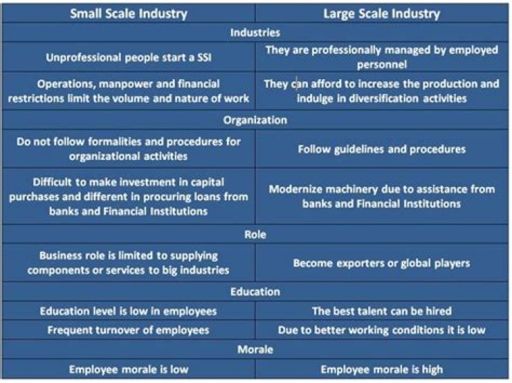 What do you mean by small business enterprise?