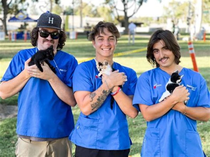 What do you wear to volunteer at a vet clinic?