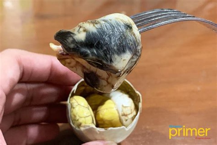 What does a balut look like?