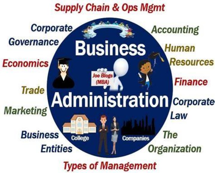 What does a business administration and management do?