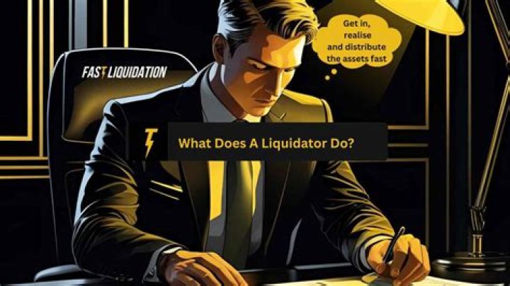 What does a liquidator do?