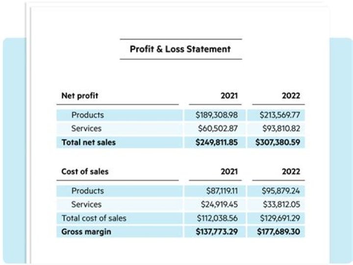 What does a profit and loss report show?