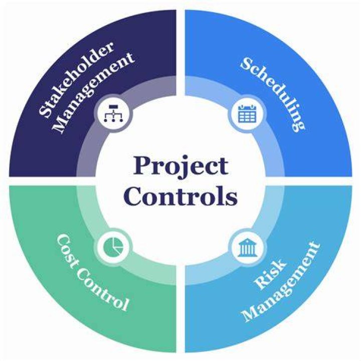 What does a project control manager do?