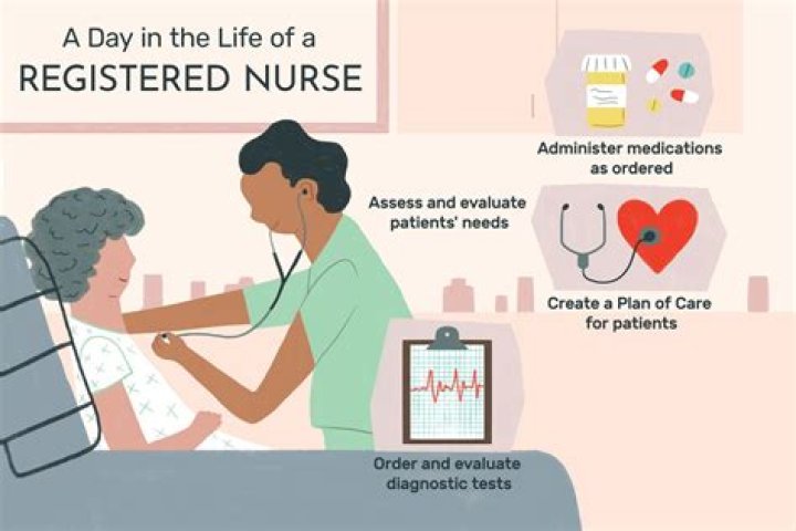 What does a registered nurse RN do?