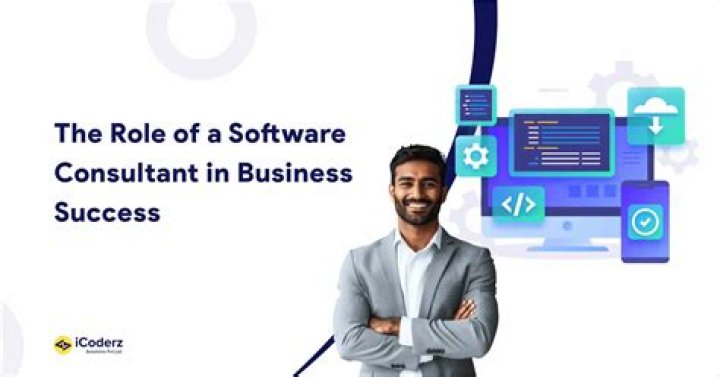What does a software consulting company do?