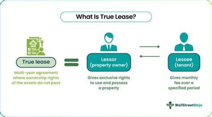 What does a true lease mean?