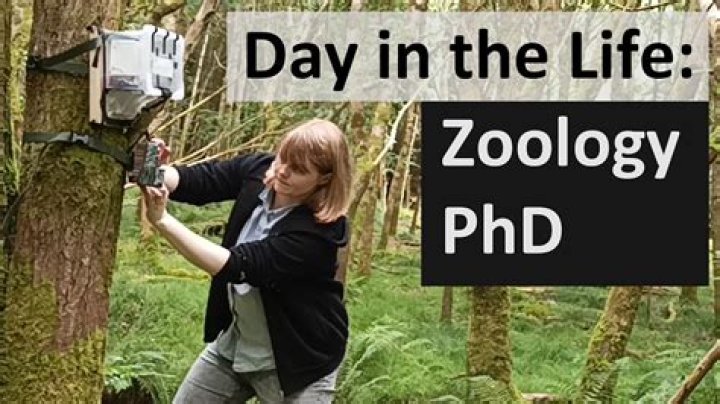What does a zoologist do on a day to day basis?