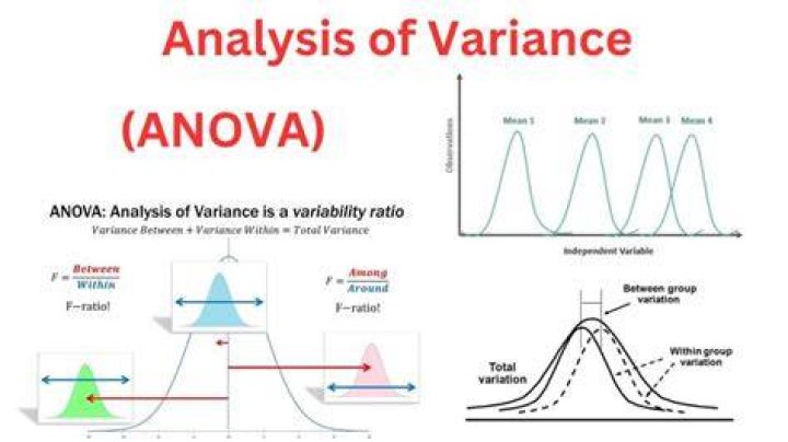 What does an analysis of variance tell you?