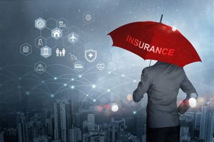 What does an insurance agency do?