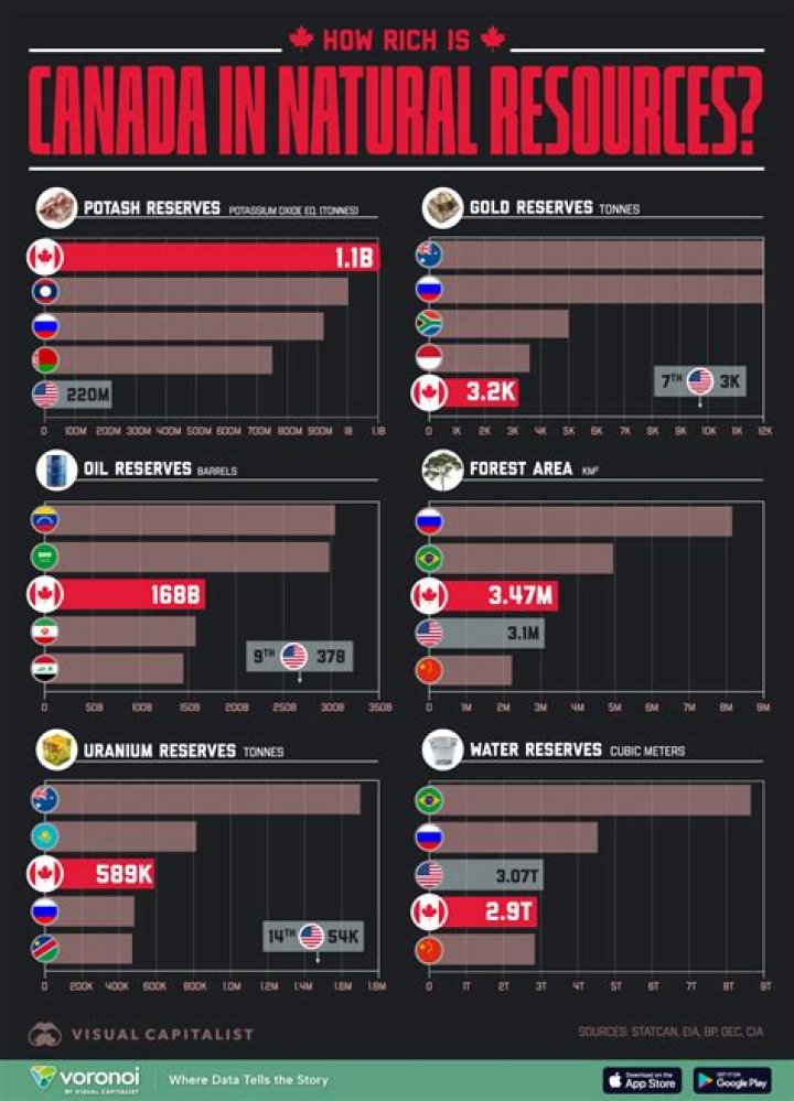 What does Canada have most of than other countries combined?