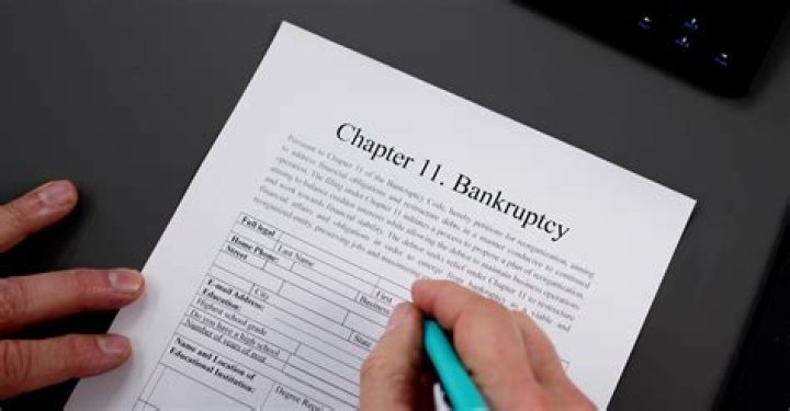 What does Chapter 11 bankruptcy mean?