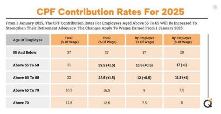 What does employee contribution mean?