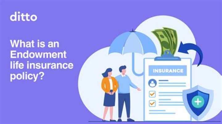 What does Endowment mean in insurance?