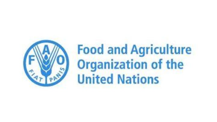 What does FAO stand for?