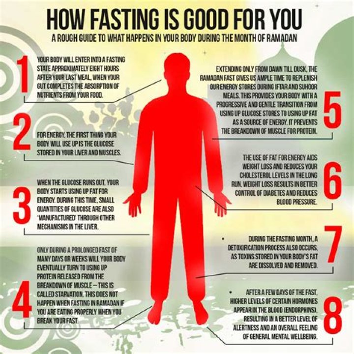 What does fast food do to your body?