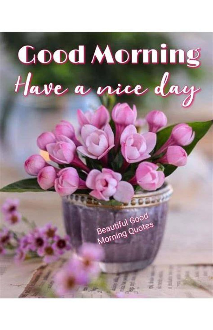 What does Good Morning and have a nice day mean?