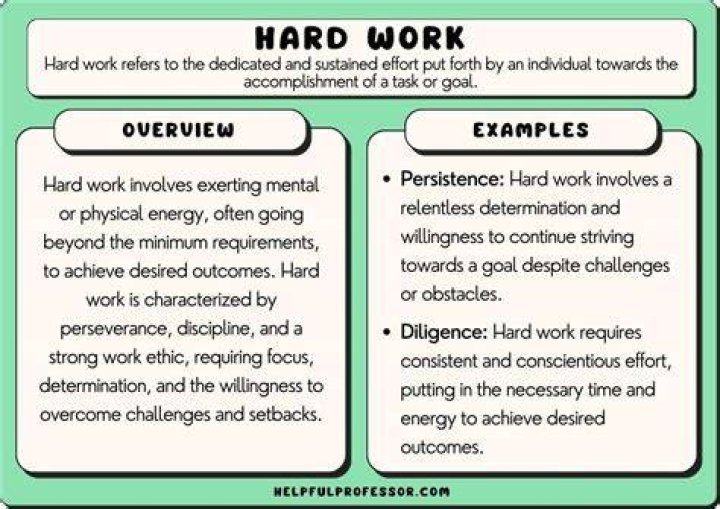 What does hard work and industry mean?