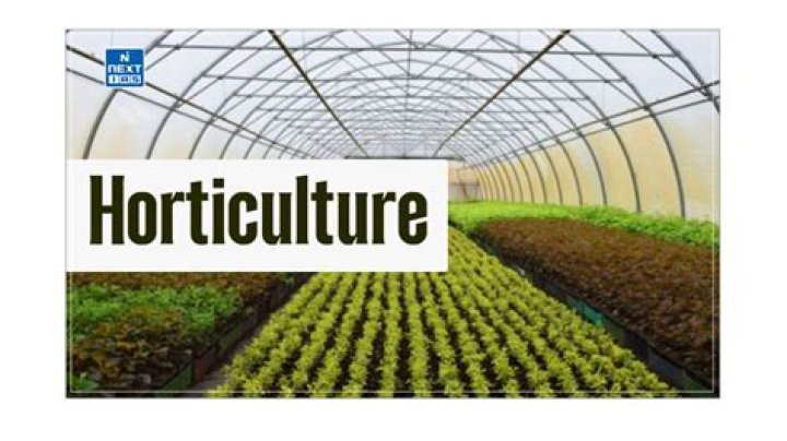 What does horticulture deal with?