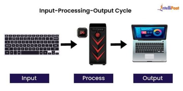 What does i P and O in the IPO cycle stand for?