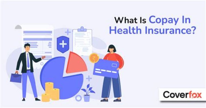 What does insurance co-pay mean?