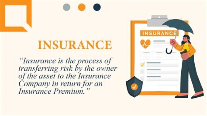 What does insurance mean in Latin?