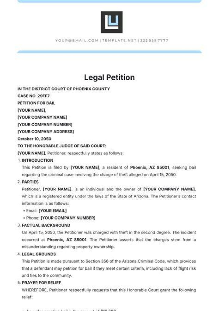 What does it mean to file a petition with the court?
