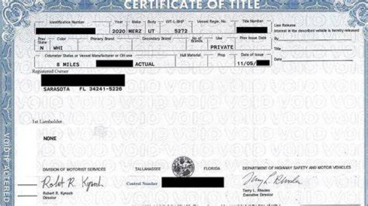 What does it mean to have a title perfected?