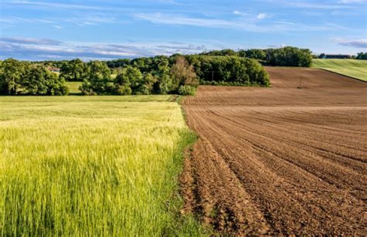 What does it mean to let the land lie fallow?